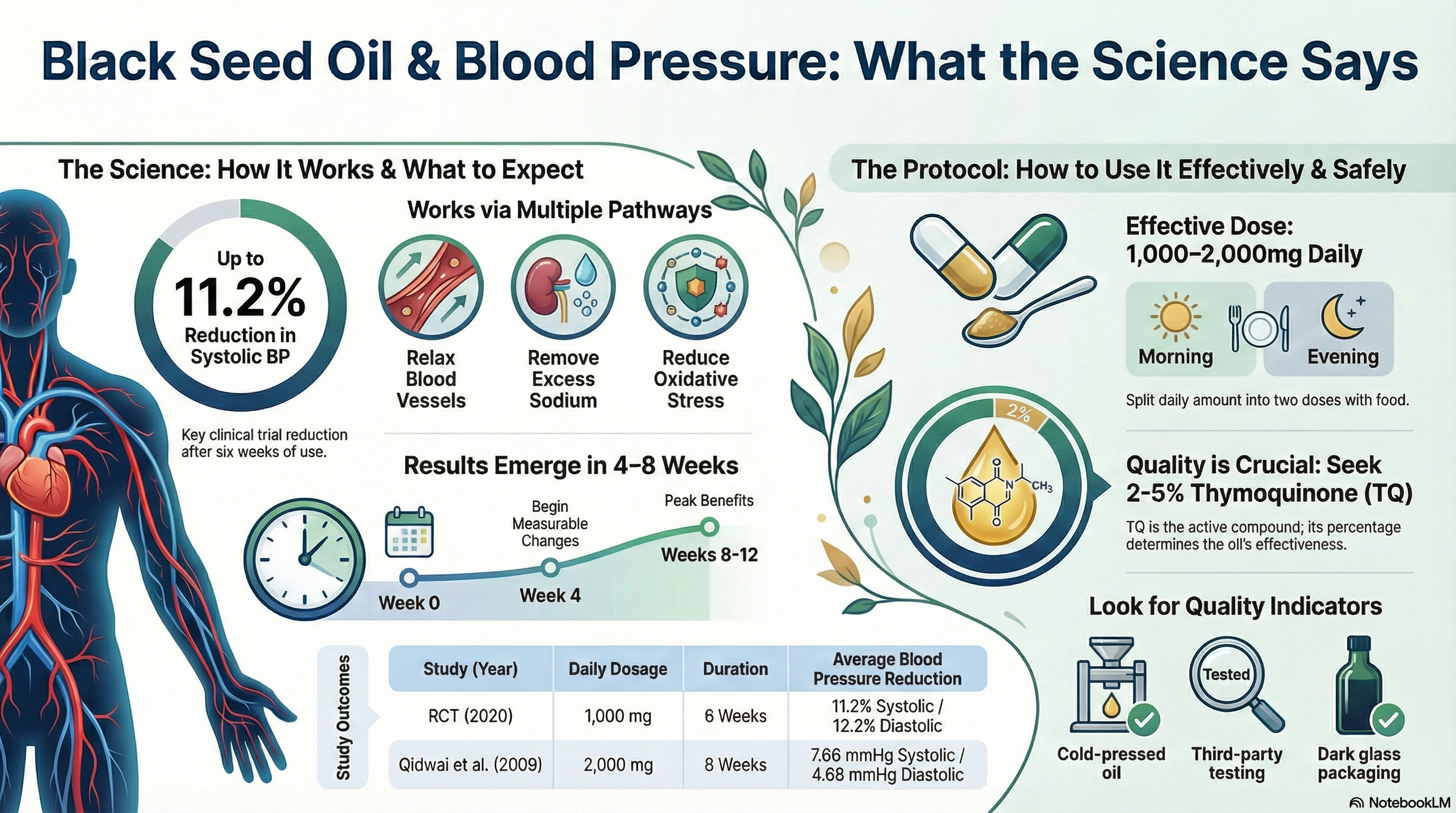 Black Seed Oil for Blood Pressure: Clinical Studies & Optimal Dosage Guide